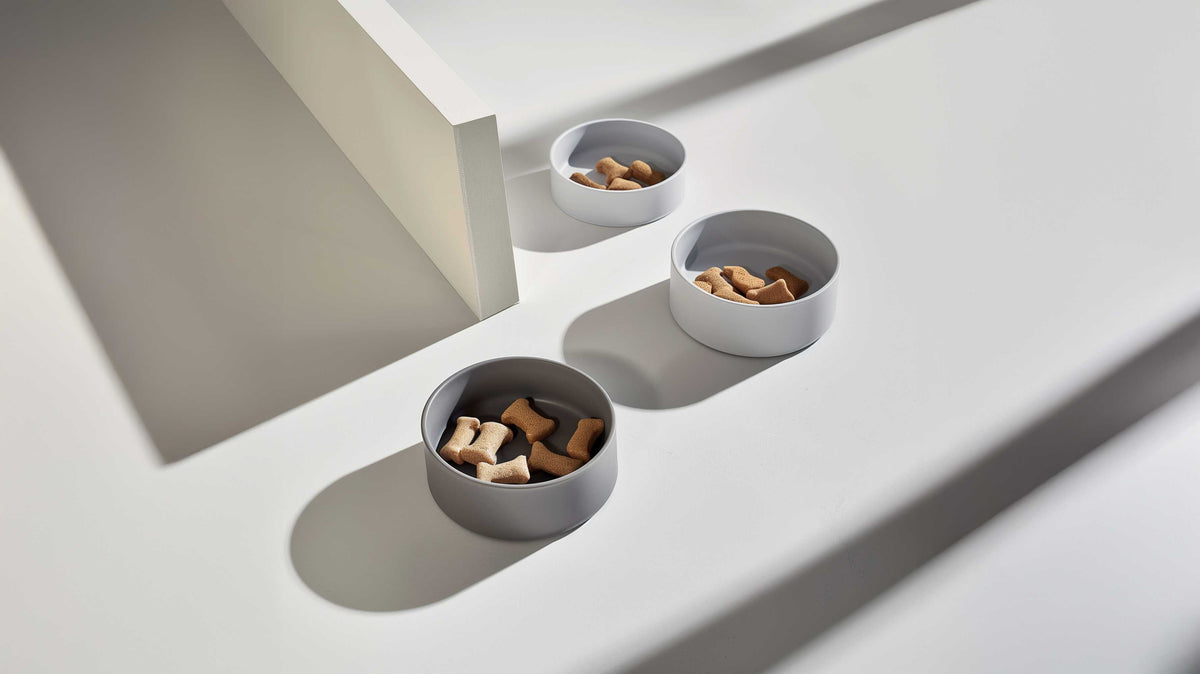 Pet Feeders
